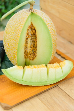 piece of fresh yellow galia melon on the plateの写真素材
