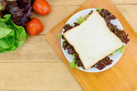 Sandwich tuna in white dishの写真素材