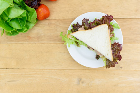 Sandwich tuna in white dishの写真素材