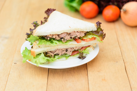 Sandwich tuna in white dishの写真素材