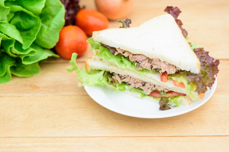 Sandwich tuna in white dishの写真素材