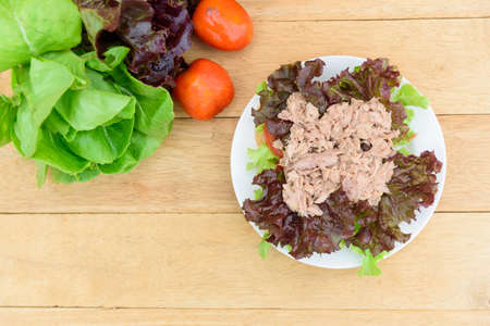 Closeup to Sandwich tuna in white dishの写真素材
