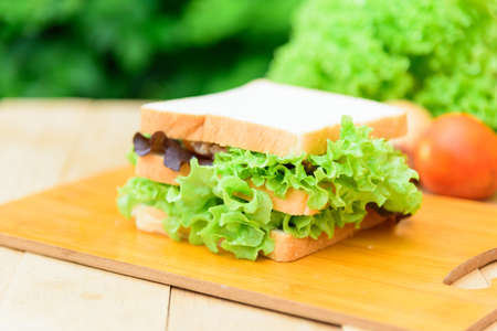 Sandwich tuna on wood plateの写真素材