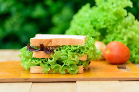 Sandwich tuna on the wood plateの写真素材