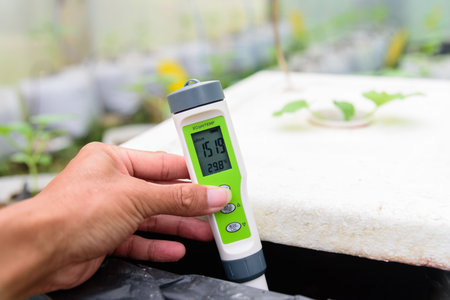 Check EC value of of water bin of hydroponics systemの写真素材