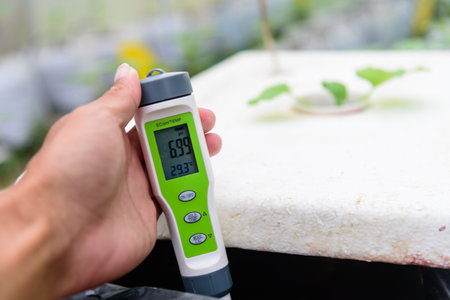 Check pH value of water bin of hydroponics systemの写真素材