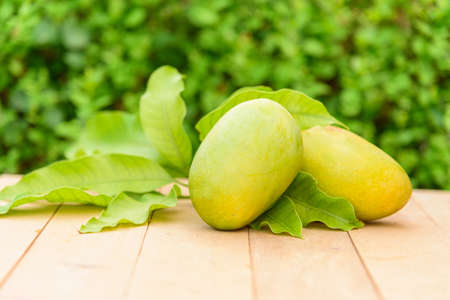 Closeup to yellow mango on the wood plateの写真素材