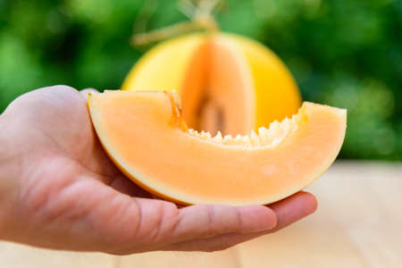 piece of fresh orange melon on the plateの写真素材