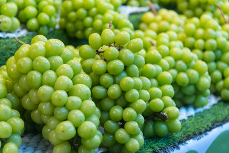Closeup focus to fresh grape on treeの写真素材