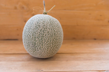 Fresh green melon on wood plateの写真素材