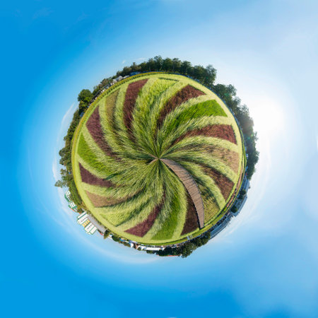Circle panorama process style of colorful variety type of rice field in sunset timeの写真素材