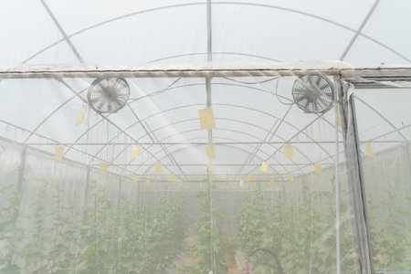 ventilation fan in greenhouse for make air flow from inside to outsideの写真素材