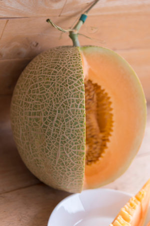 a piece of fresh melon on the plate