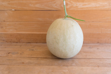 Fresh melon in hand on wooden background. Close-up.の写真素材
