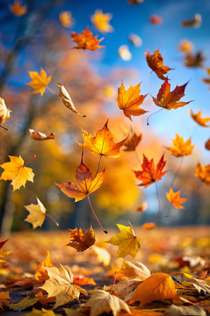 Autumn leaves falling from trees in a park with a blurred background of yellow and orange foliageの素材