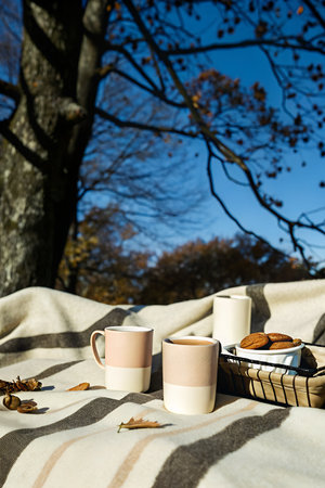 Two ceramic mugs and a small basket of cookies on a striped blanket under a large tree with blue skyの素材