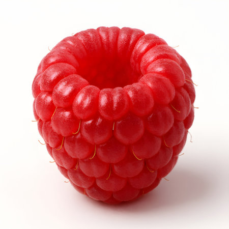 A single ripe red raspberry isolated on a white background, showcasing its intricate texture and vibrant color, a perfect representation of fresh fruitの素材