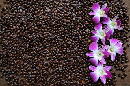Background of coffee beansの写真素材