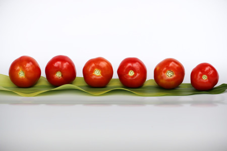 tomato on white backgroundの写真素材