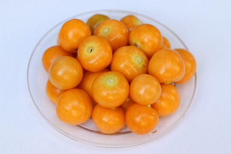 cape gooseberryの写真素材