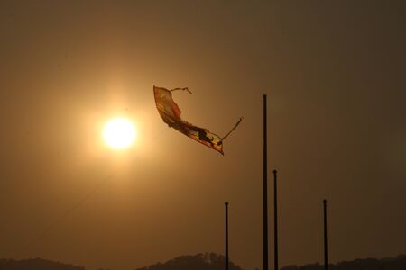 Kites flying in the sky in the evening.の写真素材