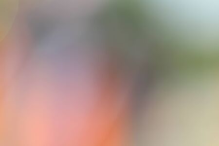 Photo of bokeh lightsの写真素材