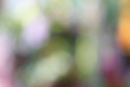Photo of bokeh lightsの写真素材