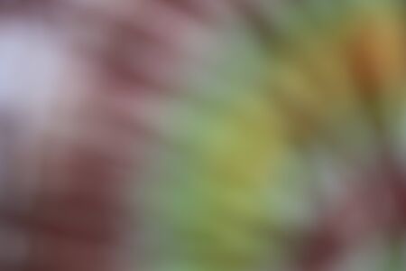 Colorful backgroundsの写真素材