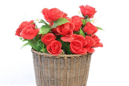 Red flowers in a basket.の写真素材