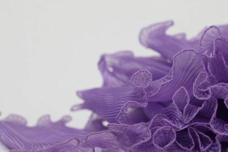 Pressing on a purple chiffon white background.の写真素材