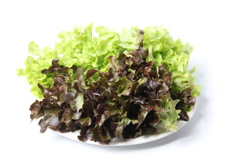 Green lettuce isolated on the white background.の写真素材