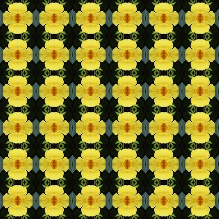 Seamless flower pattern, abstract simple backgroundの写真素材