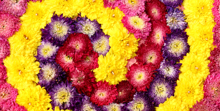 Beautiful colorful flowers decorate the background, Thailand.の写真素材