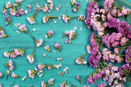 Beautiful flowers on green wood.の写真素材
