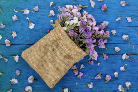 Beautiful flowers on blue wood.の写真素材