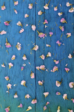 Beautiful flowers on blue wood.の写真素材