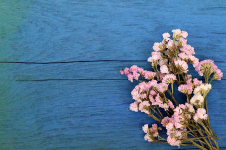 Beautiful flowers on blue wood.の写真素材