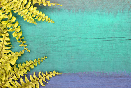 Green leaf on wood green.