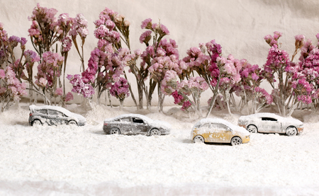 Car on the road with heavy snow.の写真素材