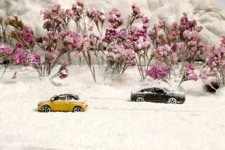 Snow covered the car traffic.の写真素材