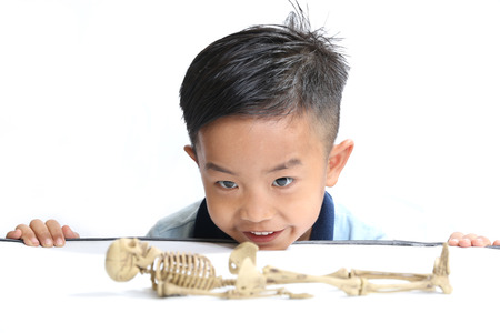 Asian boys are interested in the human skeleton.isolatedの写真素材