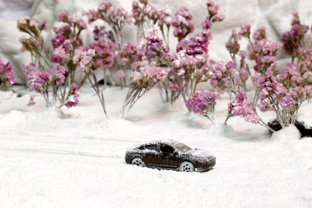 Snow covered the car traffic.の写真素材