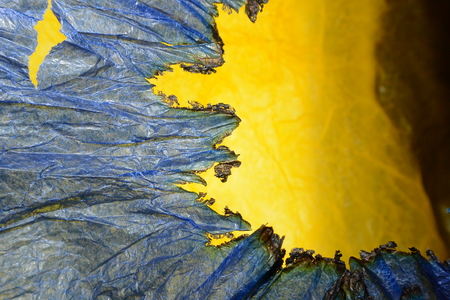 Blue paper burning on the edge of the yellow paper for pattern background.の写真素材