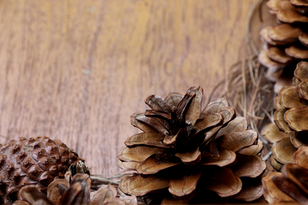 Dried flowers, pine wood floorの写真素材