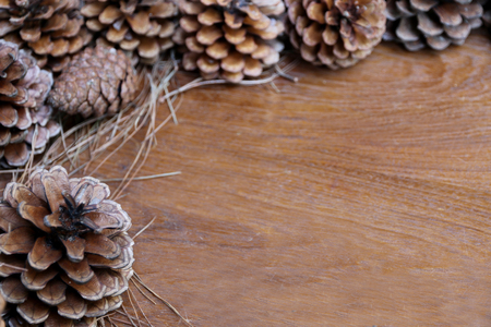 Dried flowers, pine wood floorの写真素材