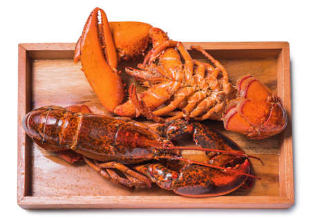 Cooked lobster isolated on white,Steam Canadian lobster isolated on white background.の写真素材