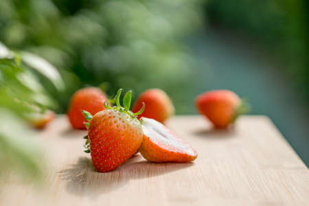 fresh strawberries in wooden plate on a blurred background. Summer garden.の写真素材