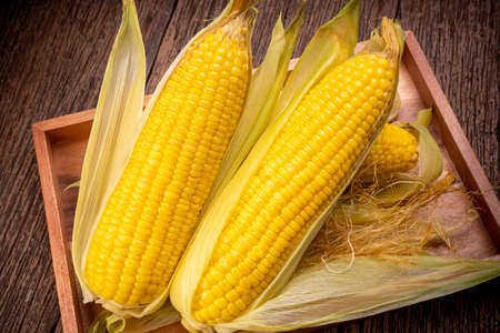 Sweetcorn in wooden plate on wooden background, Corn on a wooden table background.の写真素材
