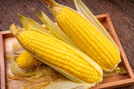 Sweetcorn in wooden plate on wooden background, Corn on a wooden table background.の写真素材