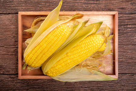 Sweetcorn in wooden plate on wooden background, Corn on a wooden table background.の写真素材
